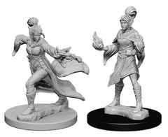 Pathfinder Deep Cuts - Elf Sorcerer Female Pre-Primed